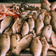 Fish market (Image: Gregg_TLV)